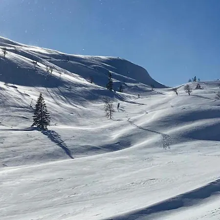 In With House A Mountain View Feriehus