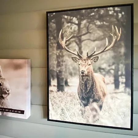 In With House A Mountain View Feriehus Aseral