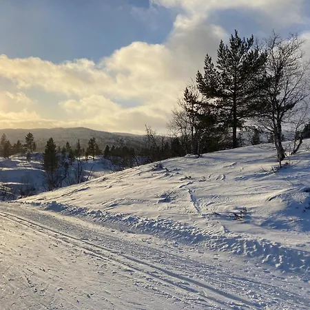 In With House A Mountain View *